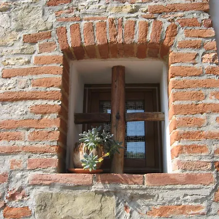 Agriturismo Villani Poderi Nesti&Cupoli-2